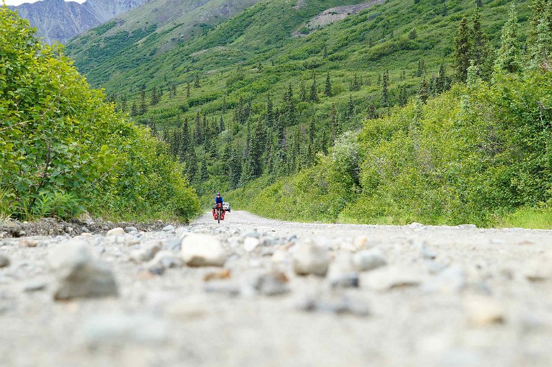 2017-alaska-045.jpg - Denali highway