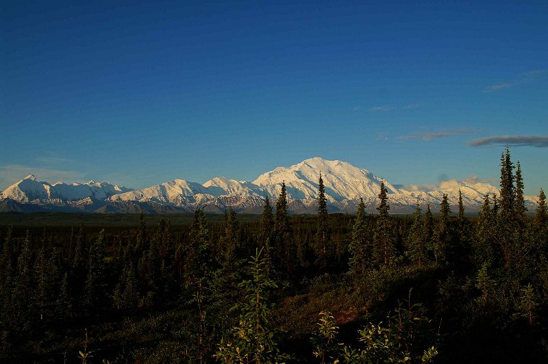 2017-alaska-077.jpg - Denali national park, wonder lake camp ground