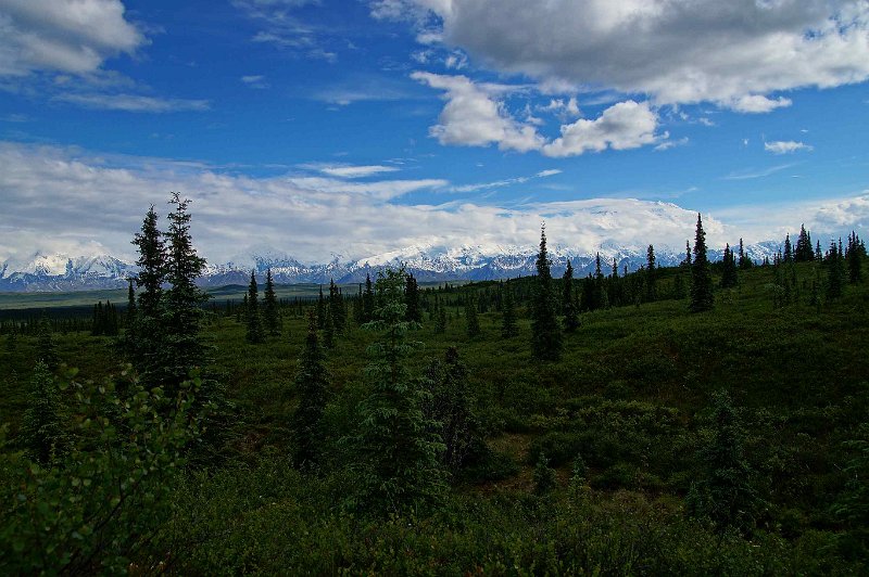 2017-alaska-082.jpg - Denali national park, wonder lake camp ground