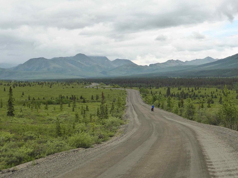 2017-alaska-110.jpg - Denali national park