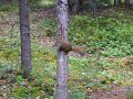 2017-alaska-005