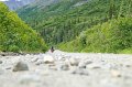 2017-alaska-045
