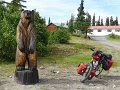2017-alaska-047