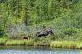 2017-alaska-050