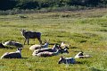 2017-alaska-070