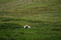 2017-alaska-087