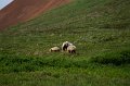 2017-alaska-088
