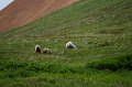 2017-alaska-089