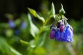 2017-alaska-105