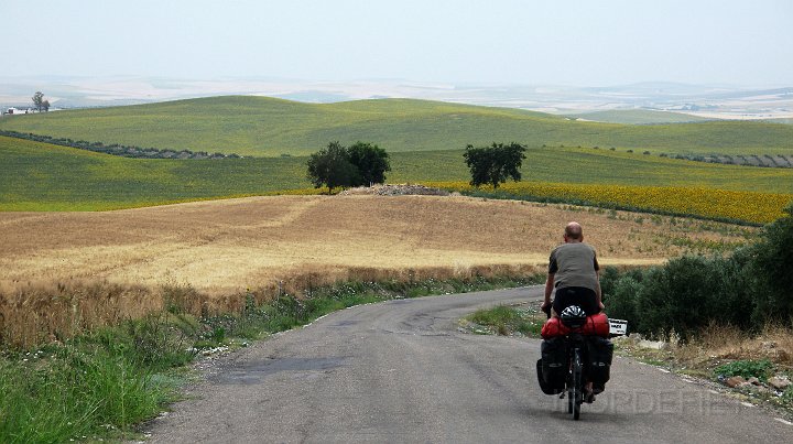 IMG_0780.JPG - El Carpio