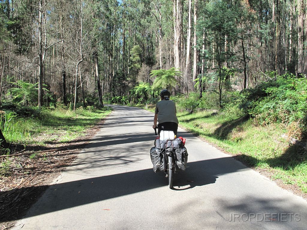 IMG_2418.JPG - Eildon