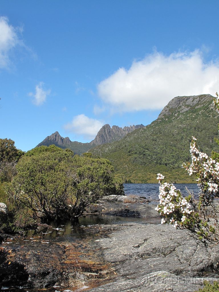 IMG_2444.JPG - Crater Lake, Cradle Mountain NP