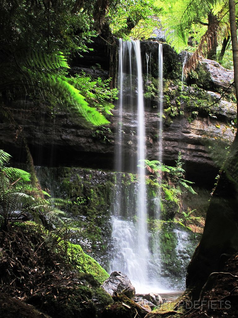 IMG_2586_waterval.jpg - Russel Falls, Mount Field NP