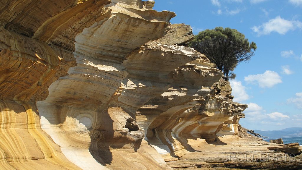 IMG_2623.JPG - Painted Cliffs, Maria Island