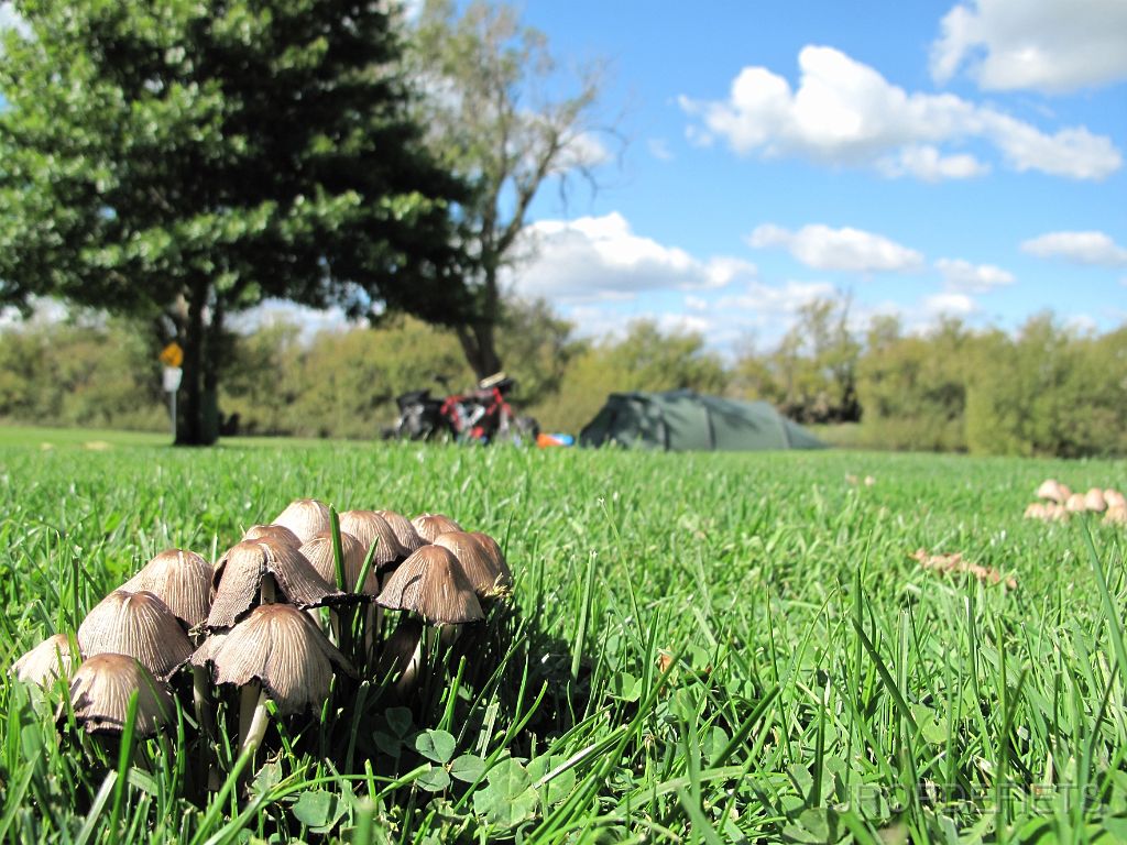 IMG_2718.JPG - Longford Riverside camp site