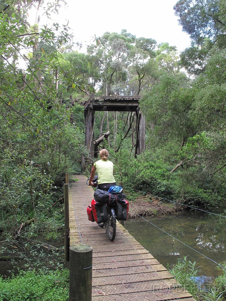 IMG_2810.JPG - Rail trail, Timboon