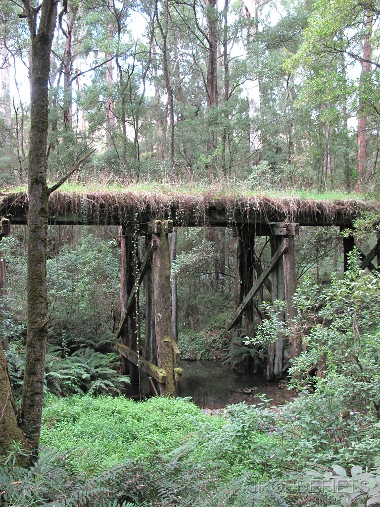 IMG_2811.JPG - Rail trail, Timboon