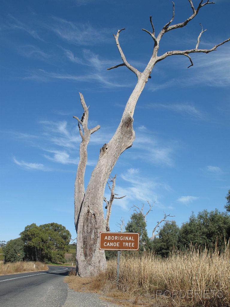 IMG_2920.JPG - Fleurieu Peninsula
