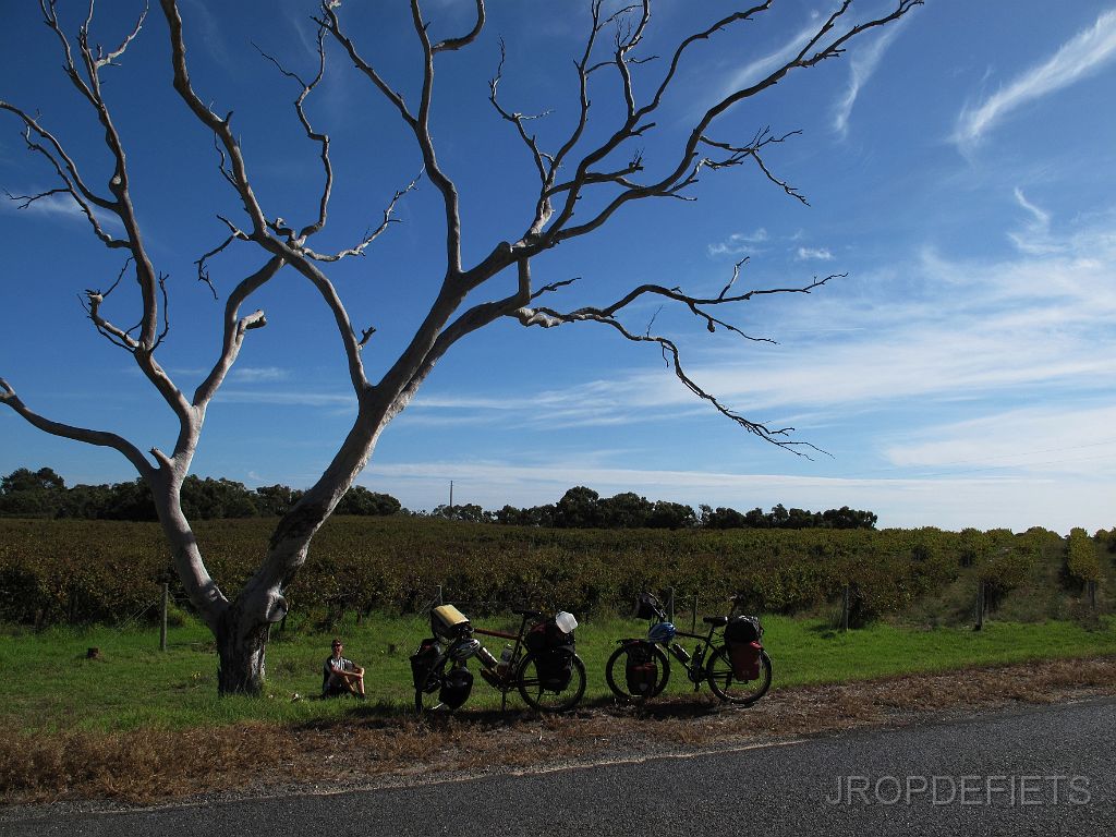 IMG_2923_wijn.jpg - Fleurieu Peninsula