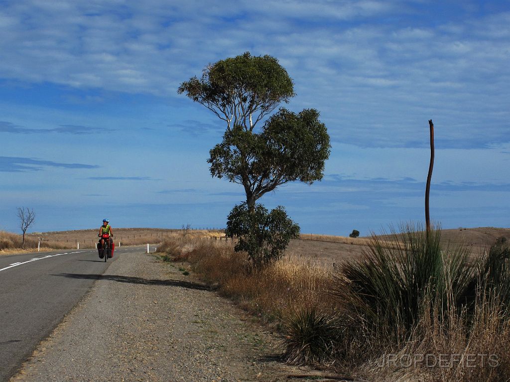 IMG_2933_fleuriu.jpg - Fleurieu Peninsula