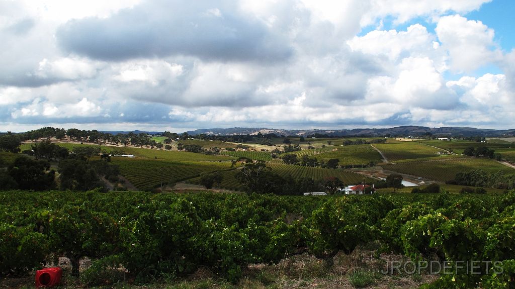 IMG_2939_mclarenvale.jpg - McLaren Vale wine district