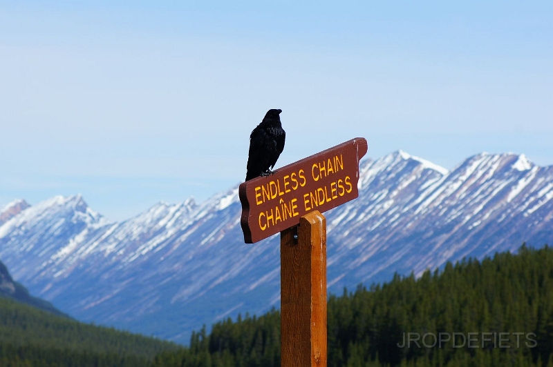 Canada-2012-035.JPG - Endless Chain