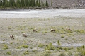 Canada-2012-029