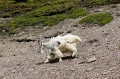 Canada-2012-031