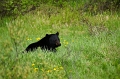 Canada-2012-033