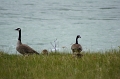 Canada-2012-037
