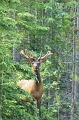 Canada-2012-040