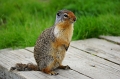 Canada-2012-053