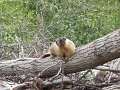 Canada-2012-081