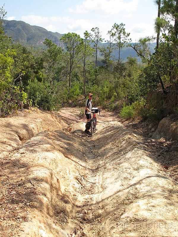 IMG_0351.JPG - mountain biken