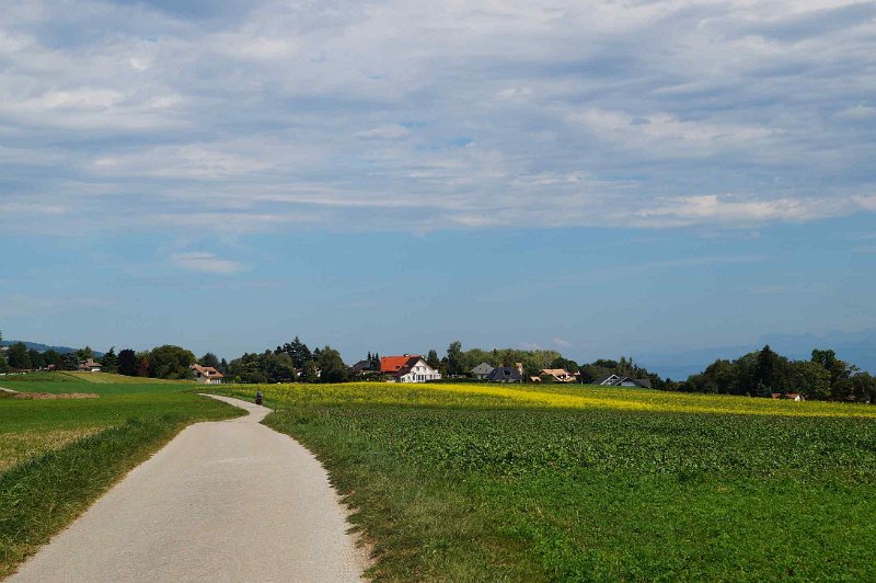 geneve-003.jpg - Zwitsers landweggetje