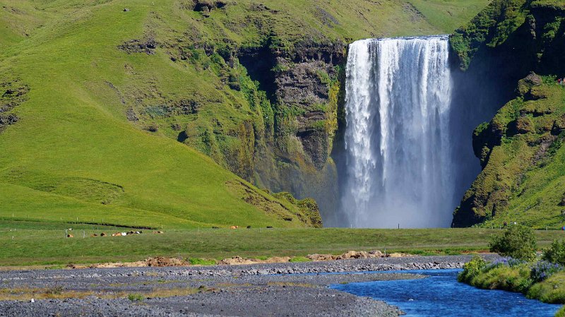 2016-ijsland-073.jpg - Skogarfoss