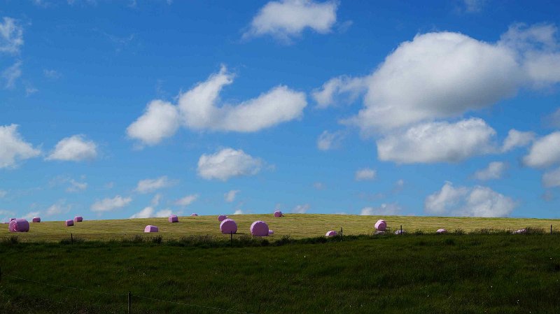 2016-ijsland-077.jpg - Marsh mellows