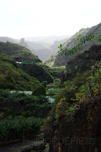 la-palma-2012-007.jpg - Onder in de Baranco bij Punta de la Galga