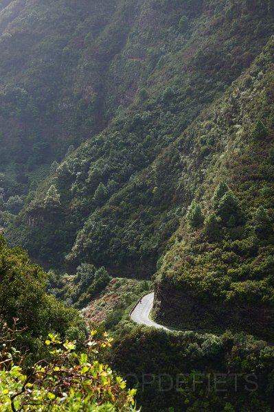 la-palma-2012-010.jpg - Baranco Gallegos, richting Franceses