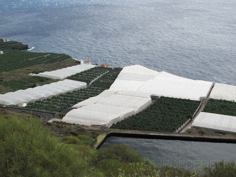 la-palma-2012-022.jpg - Bananenplantages bij Marin Luis