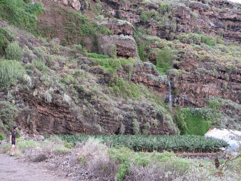 la-palma-2012-024.jpg - Onder in de Baranco bij Punta de la Galga