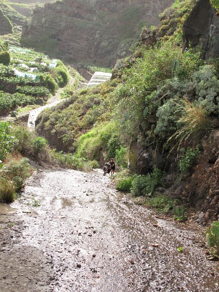 la-palma-2012-026.jpg - Onder in de Baranco bij Punta de la Galga