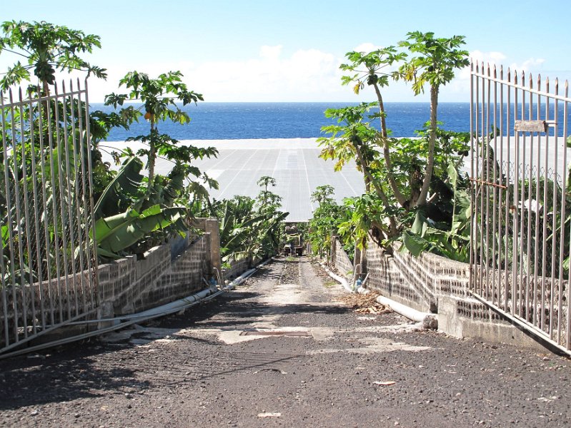 la-palma-2012-041.jpg - Bananenplantage