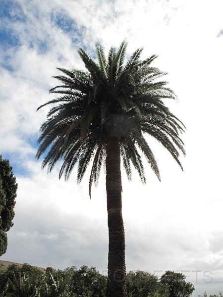 la-palma-2012-048.jpg - fiets vakantie op la Palma