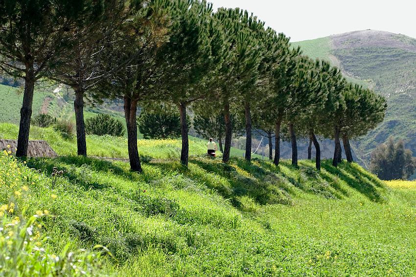 sicilie_2008_102.jpg - KONICA MINOLTA DIGITAL CAMERA