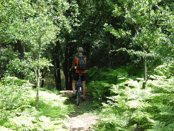 spanje2008047.JPG
