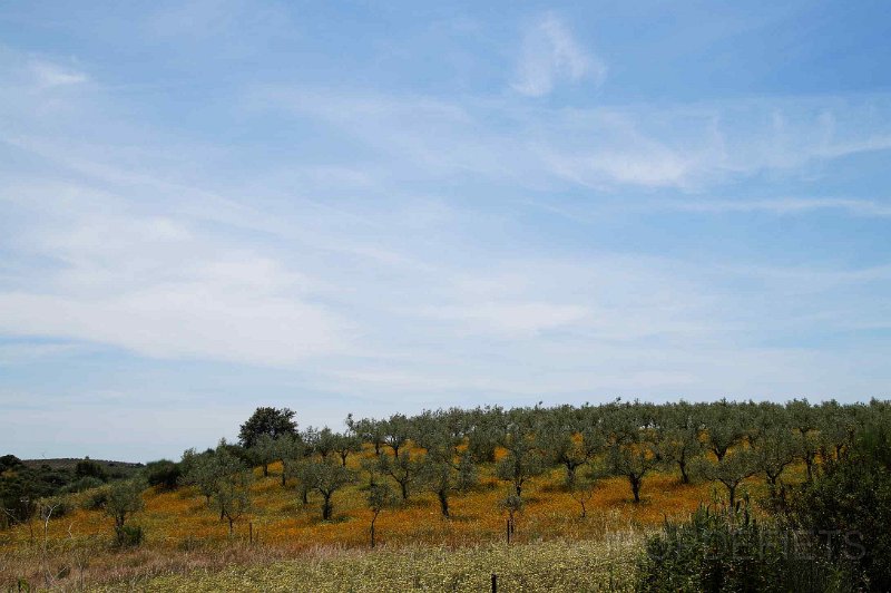 2015-spanje-019.jpg - Op weg naar Embalse de borbollon