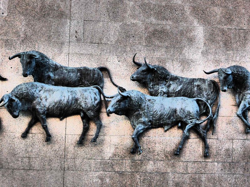 2015-spanje-050.jpg - Stieren