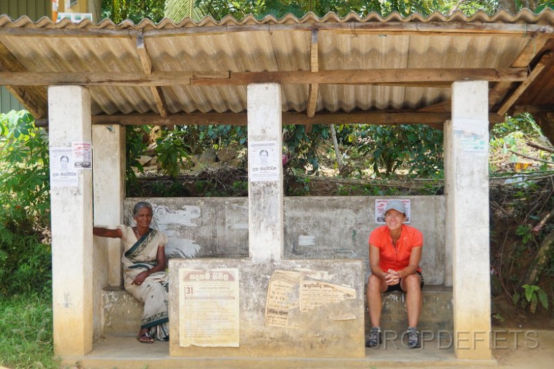 2014-sri-lanka-010.jpg - Bushalte