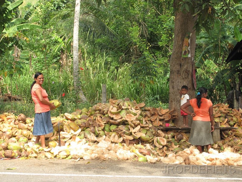 2014-sri-lanka-021.jpg - kokos